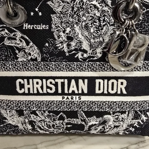🔥RARE🔥 Dior Medium Lady Dior Bag - Picture 2 of 15